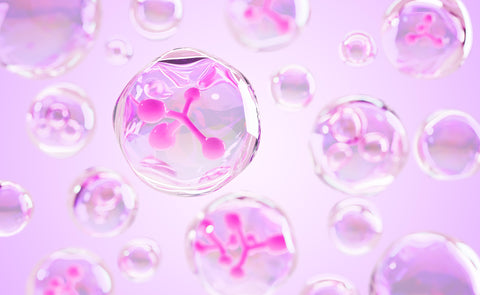 Why TMG (Trimethylglycine) 1000mg Matters for Cellular Health