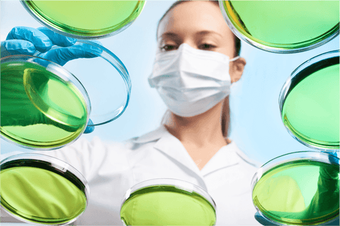 Difference Between Berberine Advanced and Berberine Phytosome