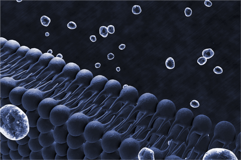 Which is Better: L-Glutathione or Reduced Glutathione
