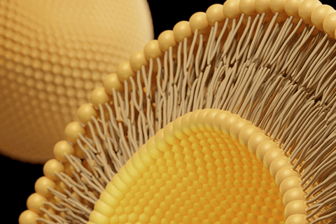What_is_Liposomal_Glutathione?_Exploring_Its_Benefits_and_Uses_Canada
