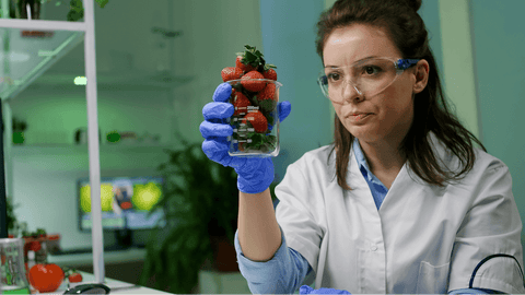 Increase My Fisetin Intake Naturally