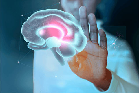Fisetin: The Ultimate Natural Flavonoid for Longevity, Brain Health, and Cellular Vitality