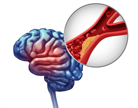 Nicotinamide Mononucleotide (NMN) Supports Spermatogenic Function in Diabetic Mice