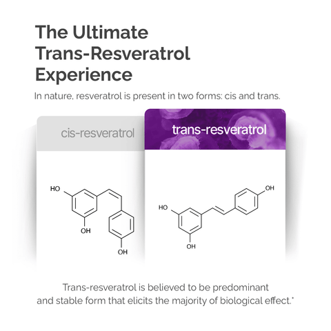 Resveratrol Supplement - 98% Pure Trans Resveratrol in Canada