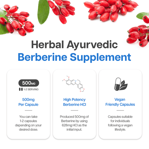 Buy Berberine 500mg now!