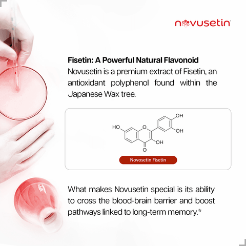 Novusetin® 피세틴