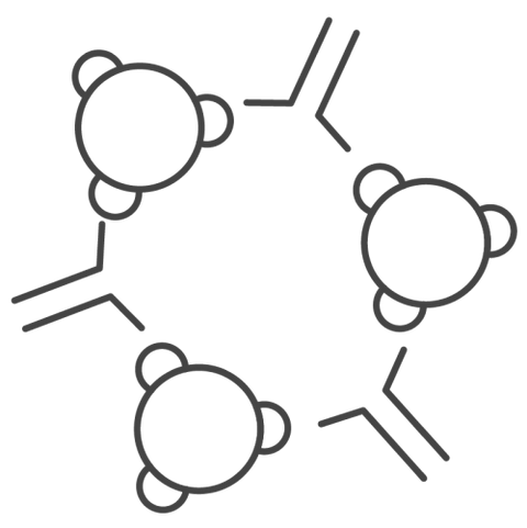 Intercelluar NAD+ Booster