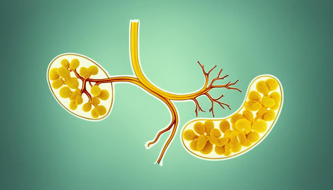 Is Berberine Bad for Your Kidneys? Benefits & Side Effects