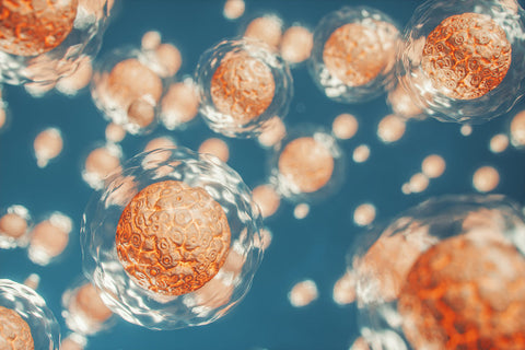 What Is the Best Natural Seasonal Allergy Relief That Actually Works?