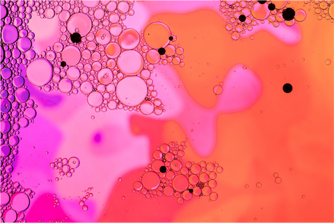 Science of Cellular Regeneration Supplements: NMN Leads