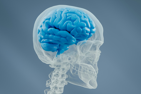 Does Magnesium Actually Help Brain Health? What We Know So Far