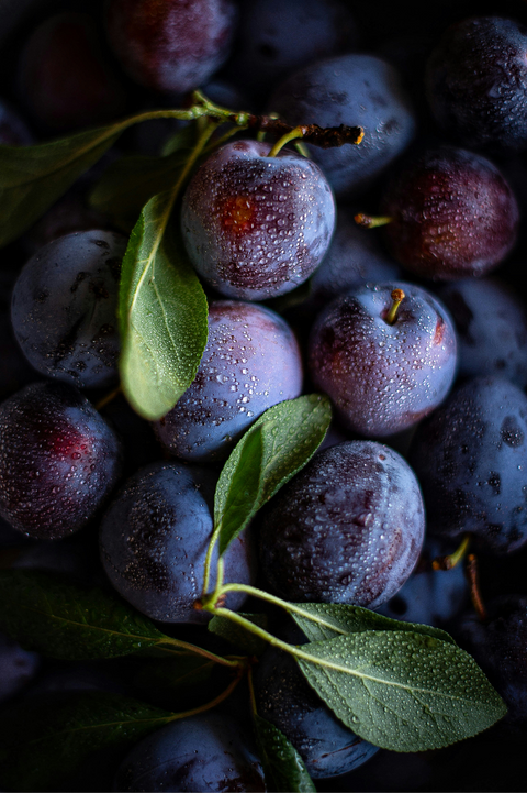 Resveratrol Benefits for Healthy Aging, Brain Health, and Longevity