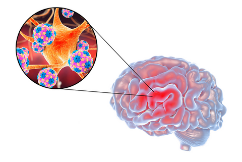 Can Bio-Enhanced R-Lipoic Acid Help With