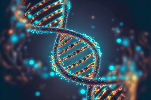 Advanced Longevity Supplements: How NMN Is Powering the Future of Anti-Aging