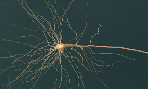 Casperome® Clinical Studies: Quantified Relief Across Joint, Gut & Eye Health