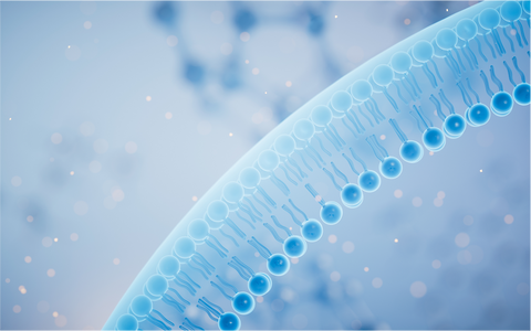 Timeline Cellular Nutrition