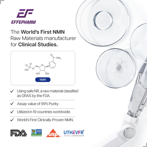 NMN 500毫克