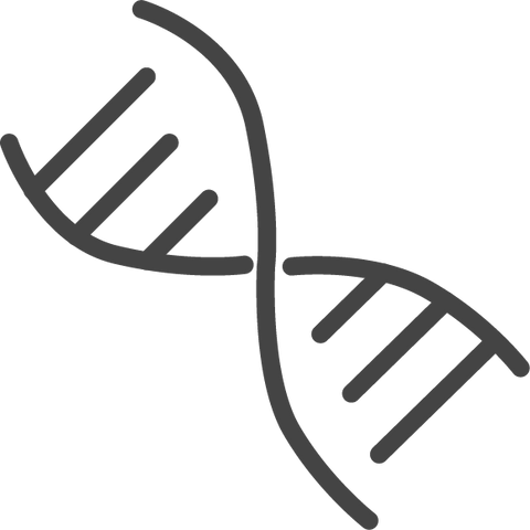 Intercelluar NAD+