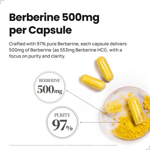 Berberine 500mg