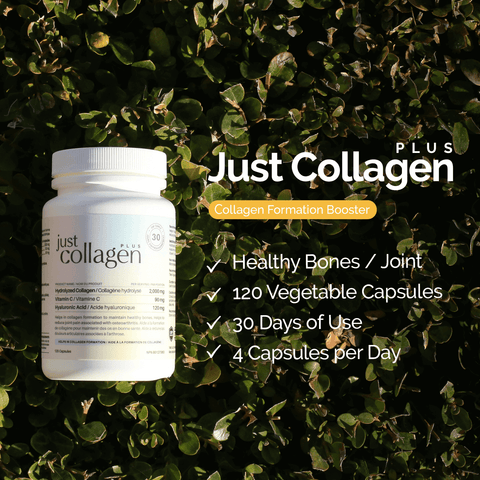 Buy Hydrolyzed Collagen + Vitamin C + Hyaluronic Acid now!