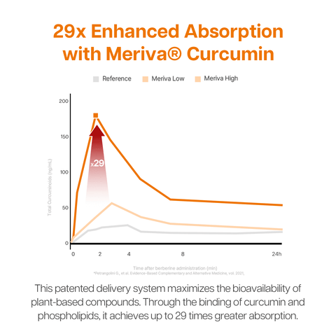 Advanced Curcumin Complex 1000mg