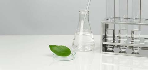 lab plate with leaf on and other lab equipments